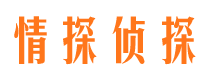 略阳外遇调查取证